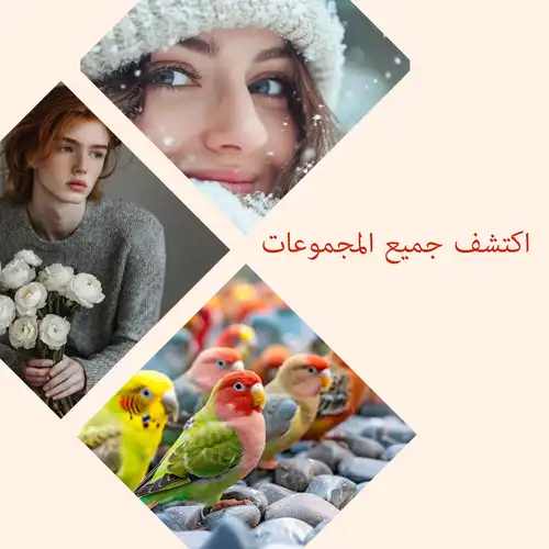 استكشف جميع المجموعات