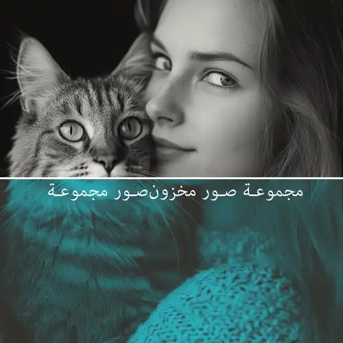 اكتشف مجموعتنا الكاملة من الصور الاحترافية
